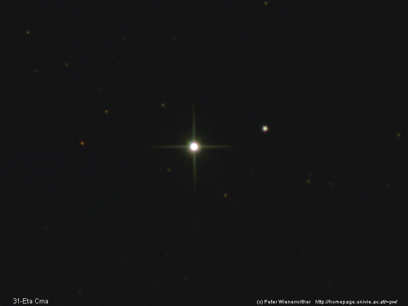 31-Eta Cma
