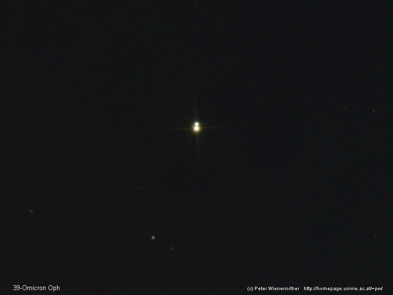 39-Omicron Oph